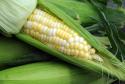 Barbecued Corn Photo