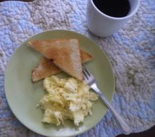 Homemade Egg Substitute Photo
