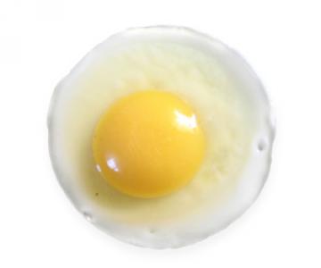 1 Fried or Scrambled Egg